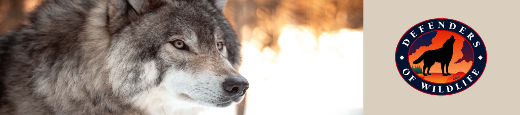 Defenders of Wildlife